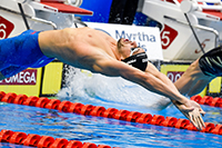 MS23 Franta 50Z rozpl