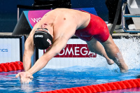 Knedla MS2024 SF 50Z